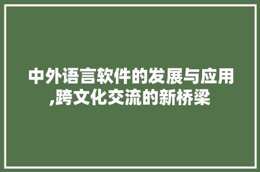 中外语言软件的发展与应用,跨文化交流的新桥梁