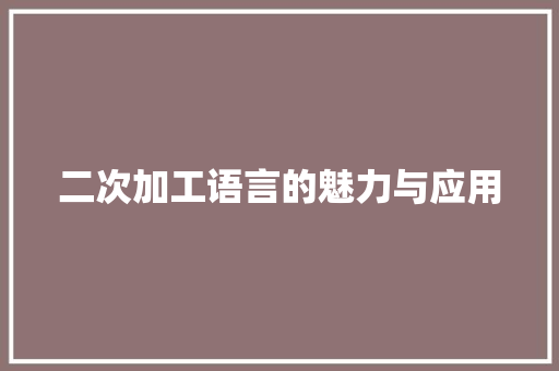 二次加工语言的魅力与应用