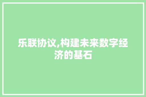 乐联协议,构建未来数字经济的基石