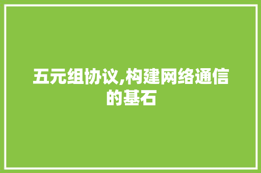 五元组协议,构建网络通信的基石 网站建设公司