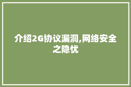 介绍2G协议漏洞,网络安全之隐忧 必应SEO