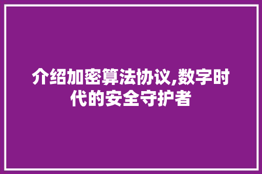 介绍加密算法协议,数字时代的安全守护者