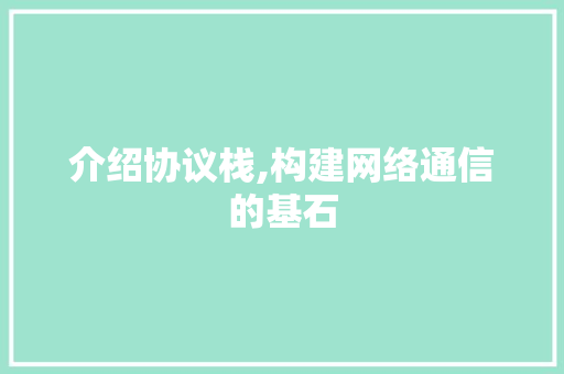 介绍协议栈,构建网络通信的基石 必应SEO