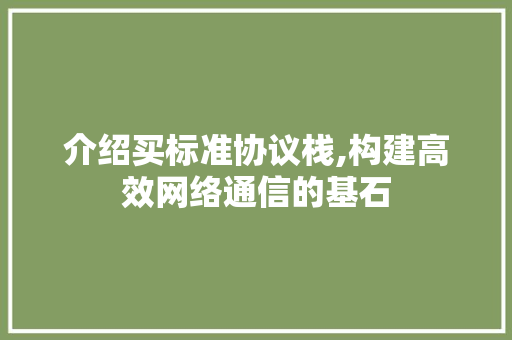 介绍买标准协议栈,构建高效网络通信的基石