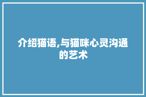 介绍猫语,与猫咪心灵沟通的艺术 神马SEO