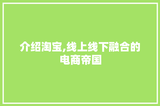 介绍淘宝,线上线下融合的电商帝国