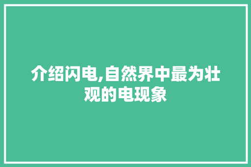 介绍闪电,自然界中最为壮观的电现象