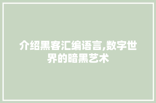 介绍黑客汇编语言,数字世界的暗黑艺术