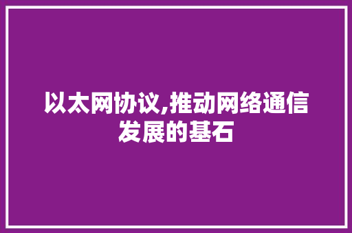 以太网协议,推动网络通信发展的基石 百度SEO