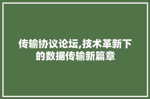 传输协议论坛,技术革新下的数据传输新篇章