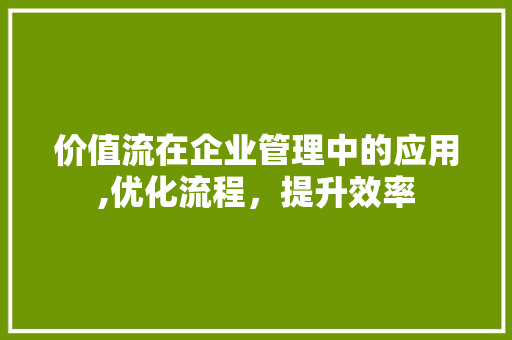 价值流在企业管理中的应用,优化流程，提升效率 搜狗SEO