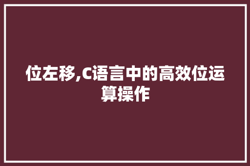 位左移,C语言中的高效位运算操作