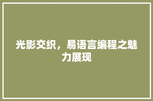 光影交织，易语言编程之魅力展现