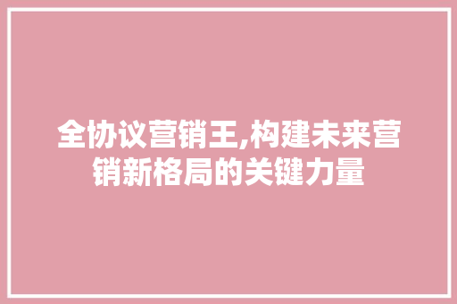 全协议营销王,构建未来营销新格局的关键力量