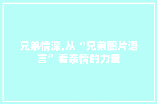 兄弟情深,从“兄弟图片语言”看亲情的力量