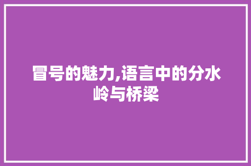 冒号的魅力,语言中的分水岭与桥梁