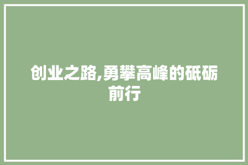 创业之路,勇攀高峰的砥砺前行