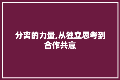 分离的力量,从独立思考到合作共赢