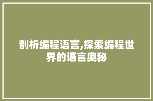 剖析编程语言,探索编程世界的语言奥秘