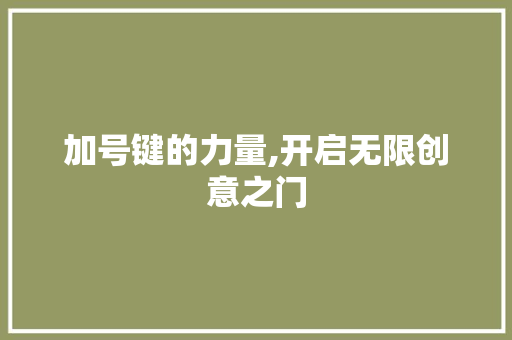 加号键的力量,开启无限创意之门
