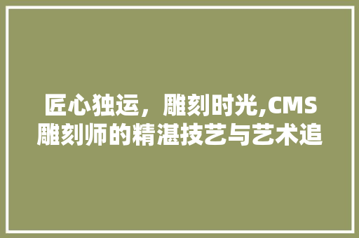 匠心独运，雕刻时光,CMS雕刻师的精湛技艺与艺术追求