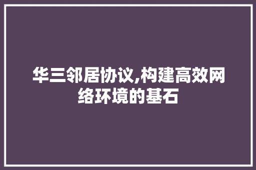 华三邻居协议,构建高效网络环境的基石