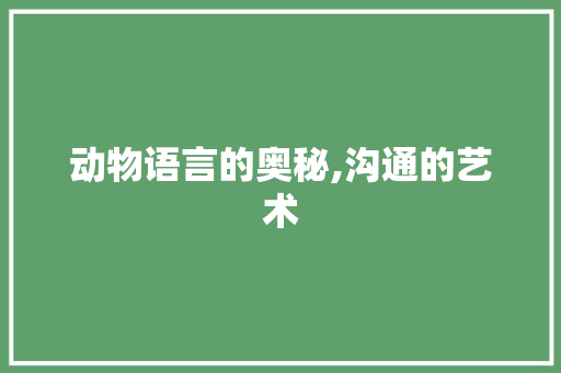 动物语言的奥秘,沟通的艺术