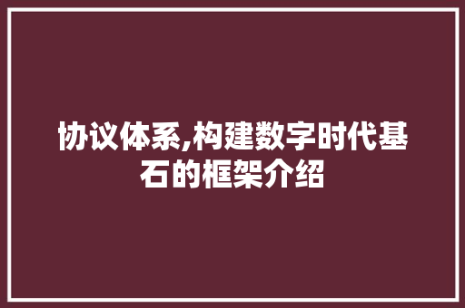 协议体系,构建数字时代基石的框架介绍