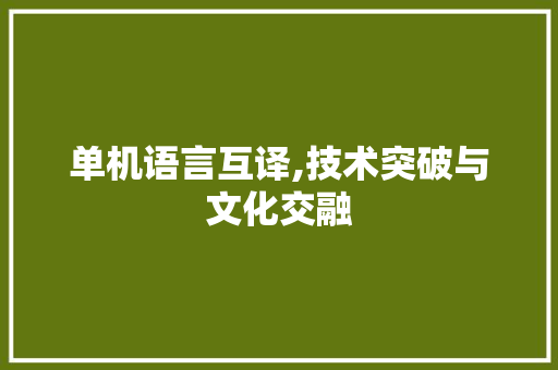 单机语言互译,技术突破与文化交融
