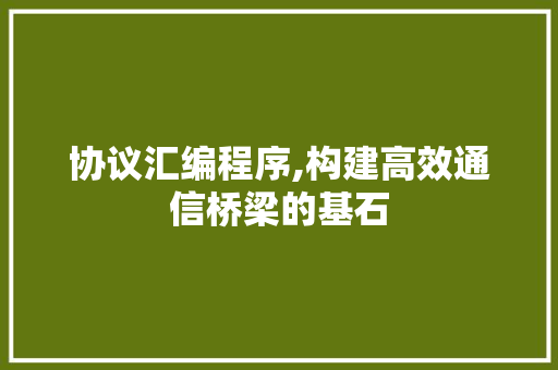 协议汇编程序,构建高效通信桥梁的基石
