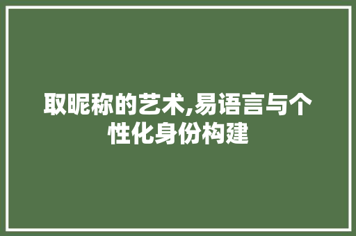 取昵称的艺术,易语言与个性化身份构建