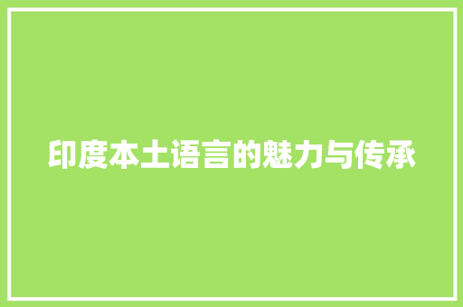 印度本土语言的魅力与传承 搜狗SEO