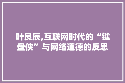 叶良辰,互联网时代的“键盘侠”与网络道德的反思