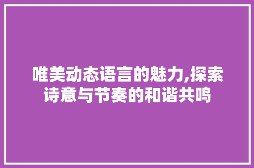唯美动态语言的魅力,探索诗意与节奏的和谐共鸣