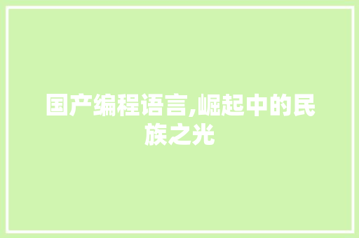 国产编程语言,崛起中的民族之光