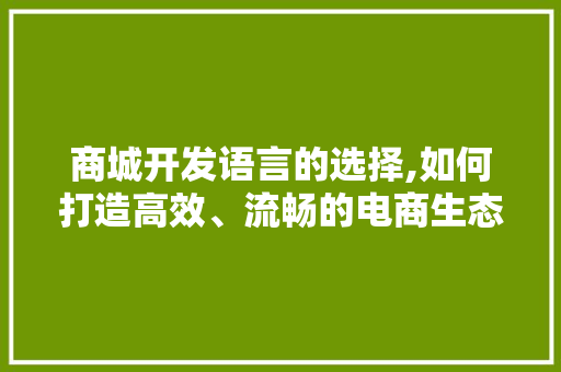 商城开发语言的选择,如何打造高效、流畅的电商生态