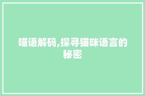 喵语解码,探寻猫咪语言的秘密