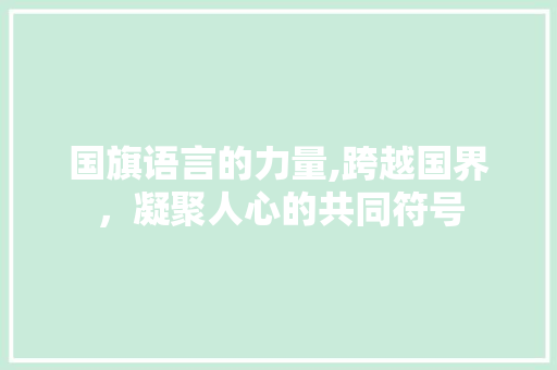 国旗语言的力量,跨越国界，凝聚人心的共同符号