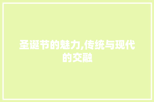 圣诞节的魅力,传统与现代的交融 神马SEO