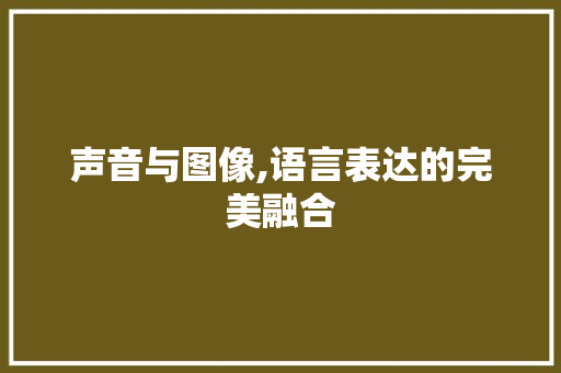 声音与图像,语言表达的完美融合