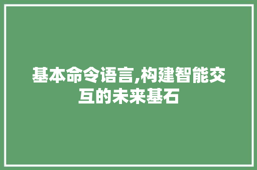 基本命令语言,构建智能交互的未来基石
