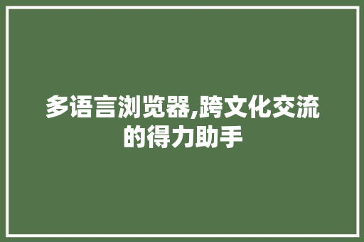 多语言浏览器,跨文化交流的得力助手