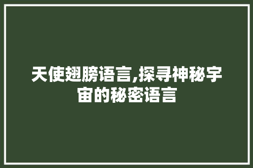 天使翅膀语言,探寻神秘宇宙的秘密语言