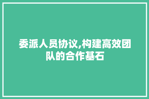 委派人员协议,构建高效团队的合作基石
