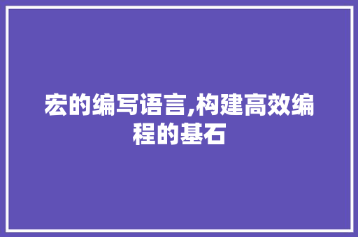 宏的编写语言,构建高效编程的基石