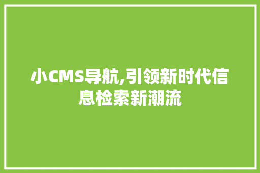 小CMS导航,引领新时代信息检索新潮流