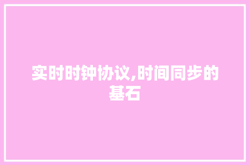 实时时钟协议,时间同步的基石