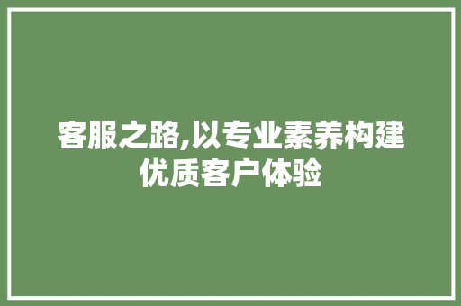 客服之路,以专业素养构建优质客户体验 网站建设公司