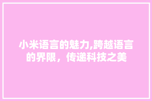 小米语言的魅力,跨越语言的界限，传递科技之美