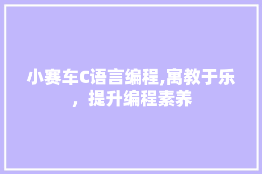 小赛车C语言编程,寓教于乐，提升编程素养
